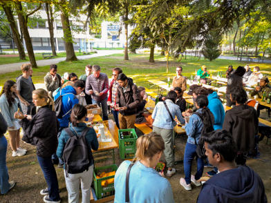 Studierende die im Freien unter Bäumen zusammenstehen, reden und sich an einem Buffet bedienen  // Students standing together outdoors under trees, talking and helping themselves to a buffet